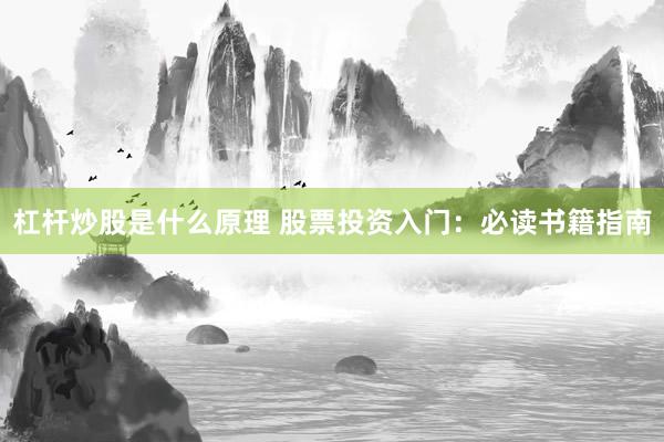 杠杆炒股是什么原理 股票投资入门：必读书籍指南