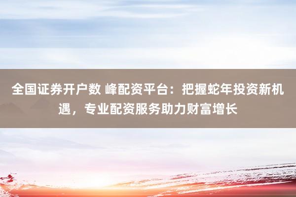 全国证券开户数 峰配资平台：把握蛇年投资新机遇，专业配资服务助力财富增长