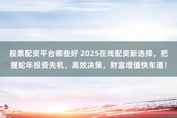 股票配资平台哪些好 2025在线配资新选择，把握蛇年投资先机，高效决策，财富增值快车道！