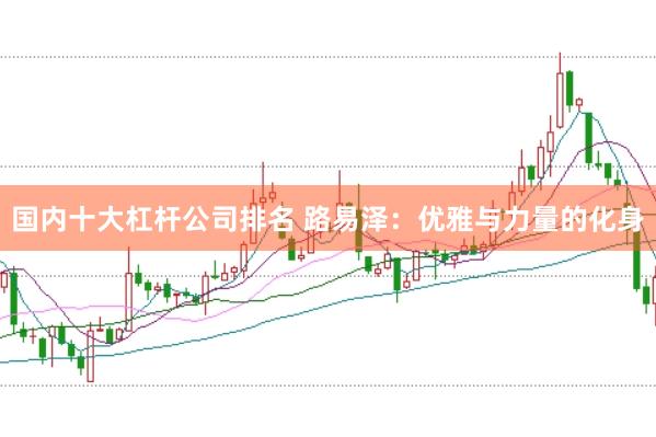 国内十大杠杆公司排名 路易泽：优雅与力量的化身