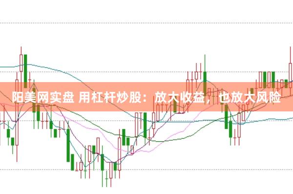 阳美网实盘 用杠杆炒股：放大收益，也放大风险