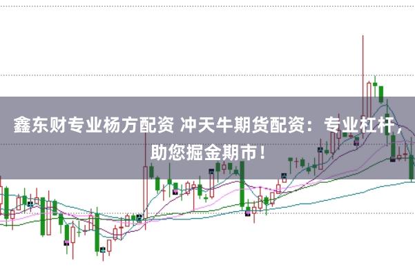 鑫东财专业杨方配资 冲天牛期货配资：专业杠杆，助您掘金期市！