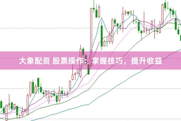 大象配资 股票操作：掌握技巧，提升收益