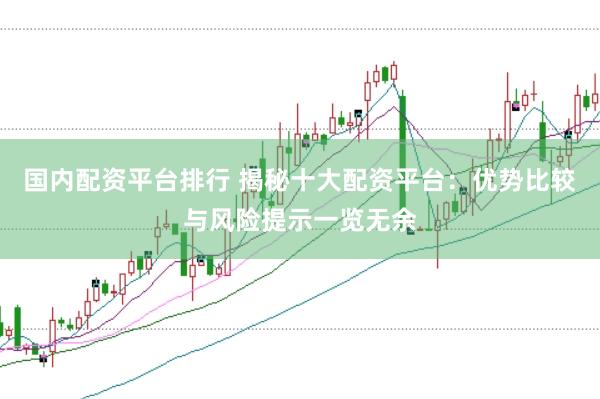 国内配资平台排行 揭秘十大配资平台：优势比较与风险提示一览无余