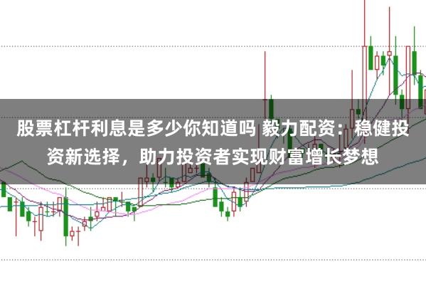股票杠杆利息是多少你知道吗 毅力配资：稳健投资新选择，助力投资者实现财富增长梦想