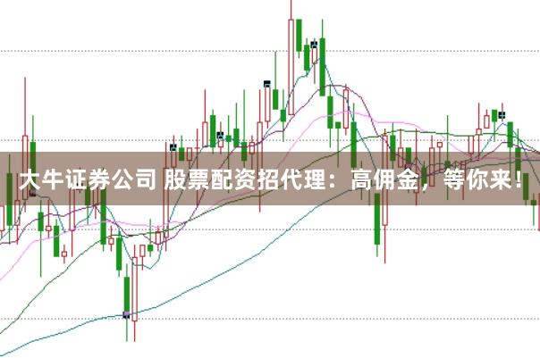 大牛证券公司 股票配资招代理：高佣金，等你来！