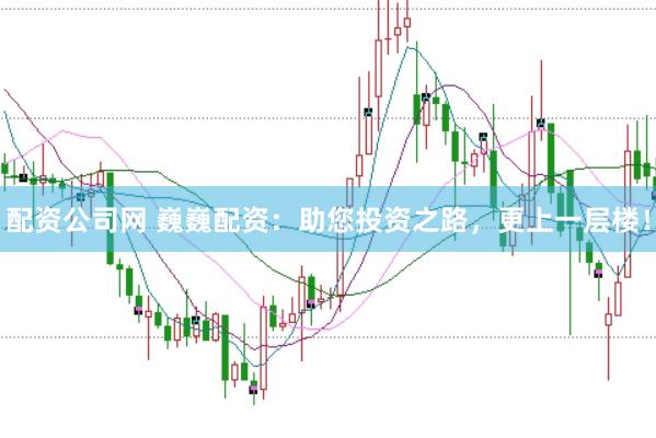 配资公司网 巍巍配资：助您投资之路，更上一层楼！
