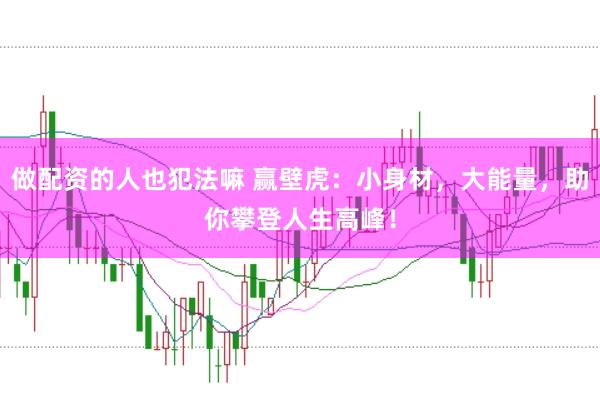 做配资的人也犯法嘛 赢壁虎：小身材，大能量，助你攀登人生高峰！