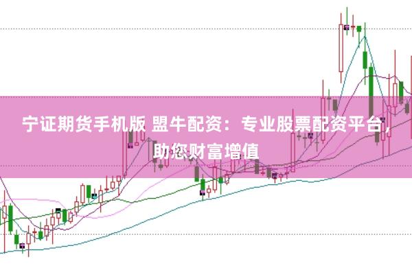 宁证期货手机版 盟牛配资：专业股票配资平台，助您财富增值
