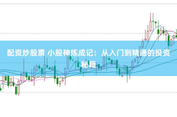 配资炒股票 小股神炼成记：从入门到精通的投资秘籍