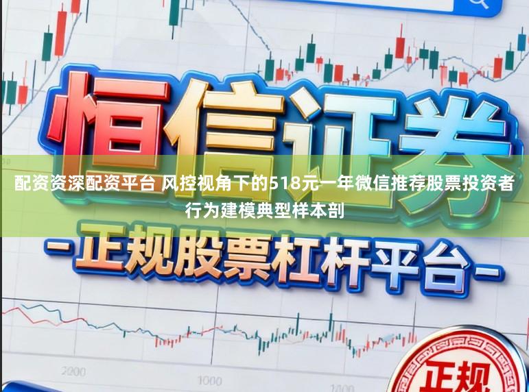 配资资深配资平台 风控视角下的518元一年微信推荐股票投资者行为建模典型样本剖