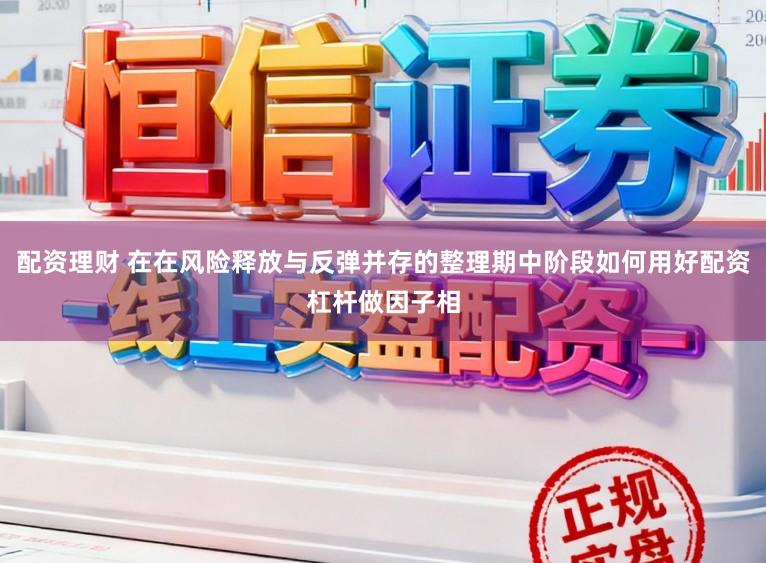 配资理财 在在风险释放与反弹并存的整理期中阶段如何用好配资杠杆做因子相