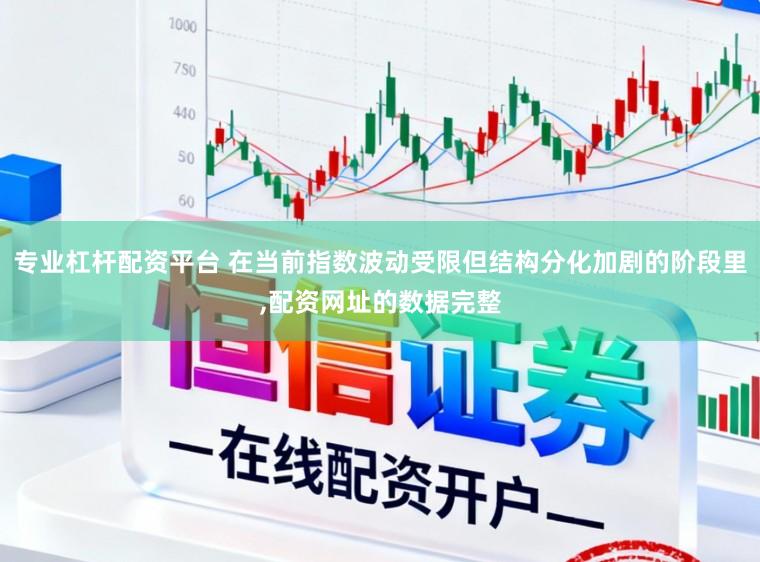 专业杠杆配资平台 在当前指数波动受限但结构分化加剧的阶段里，配资网址的数据完整