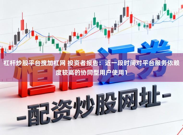 杠杆炒股平台搜加杠网 投资者报告：近一段时间对平台服务依赖度较高的协同型用户使用1